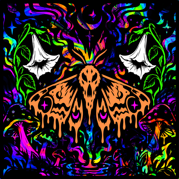 Blacklight - Fragrance