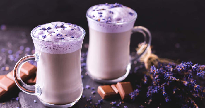 Hot Chocolate & Lavender - 2022 Winter Collection Perfume